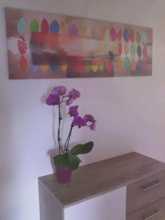 Appartements Zankl