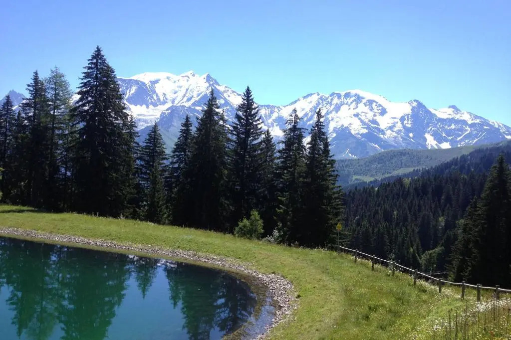 Les Jardins Alpins - Apartment