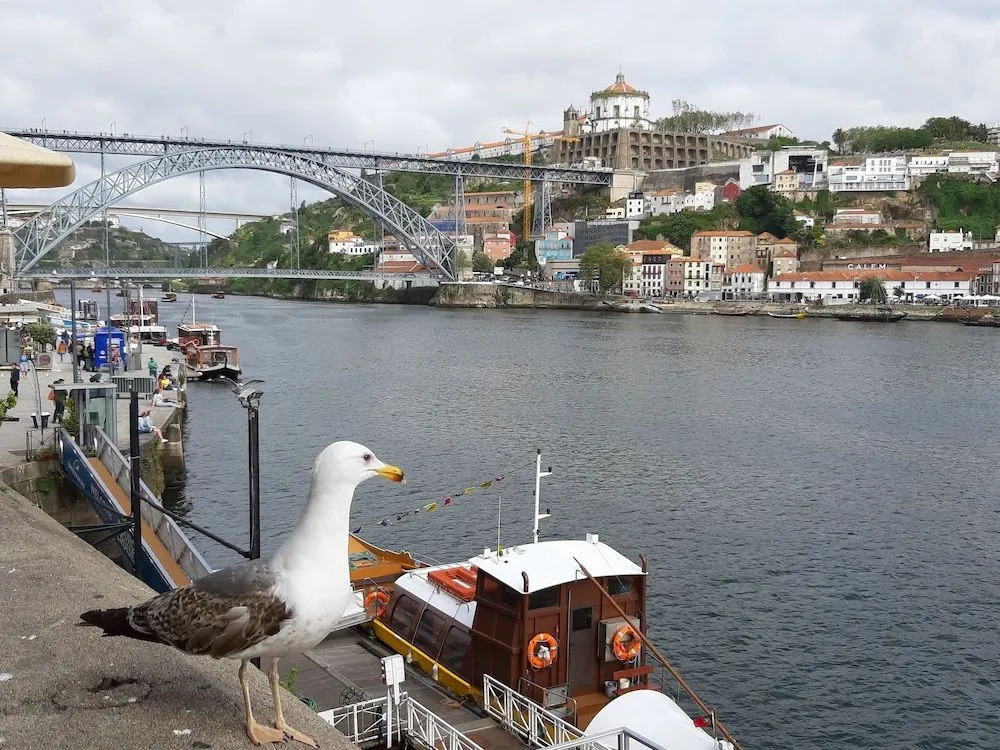 RIBEIRA OPORTO APARTMENT