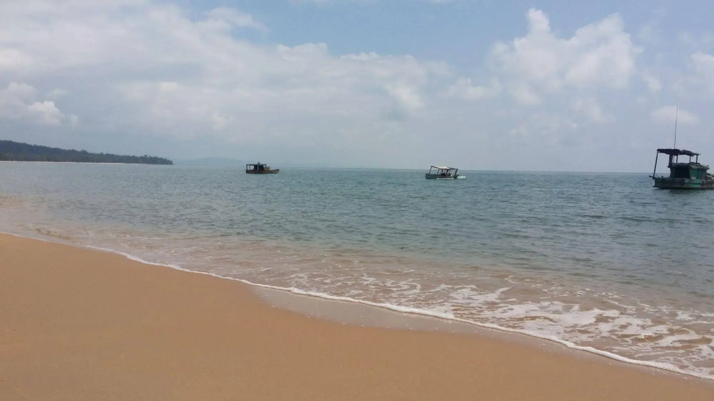 Free Beach