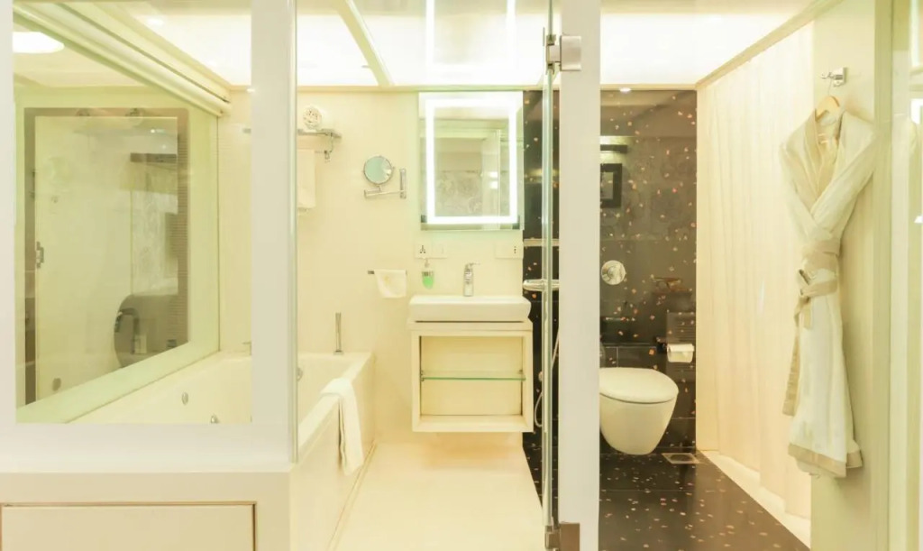 Comfort Inn Metropolis