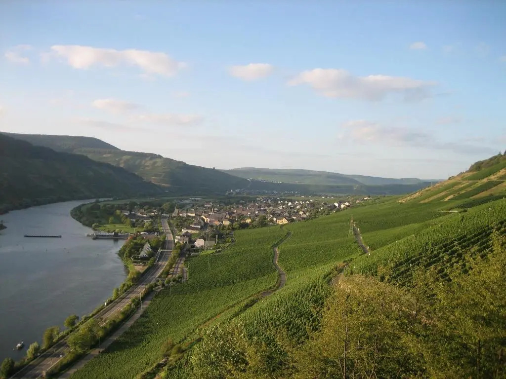 Moselferienweingut Schaefer