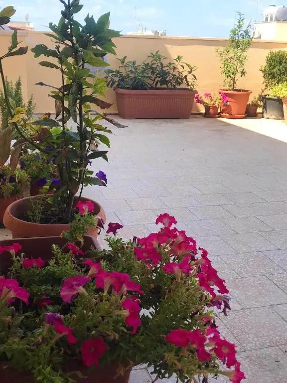 One bedroom appartement at Mazara del Vallo 800 m away from the beach with city view furnished terrace and wifi