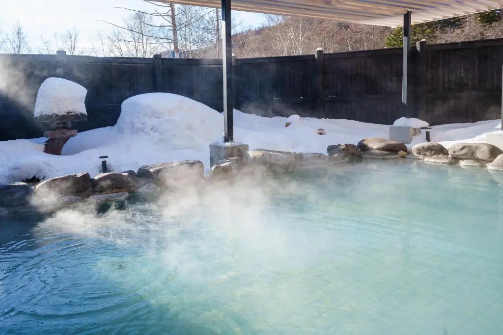 KAMENOI HOTEL Okunikko