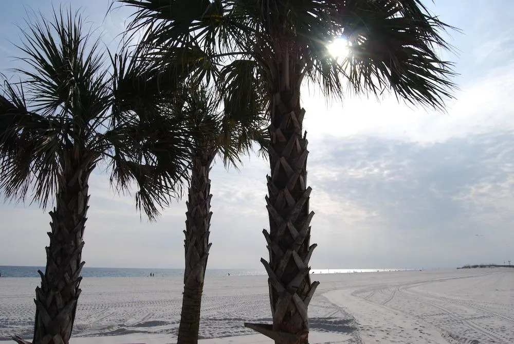 Beachview 216 by RedAwning