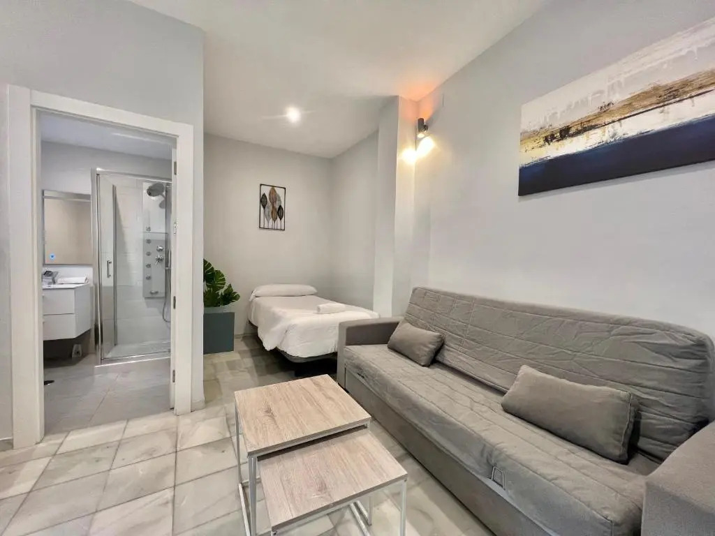 Apartamentos Realejo Granada Centro 3000