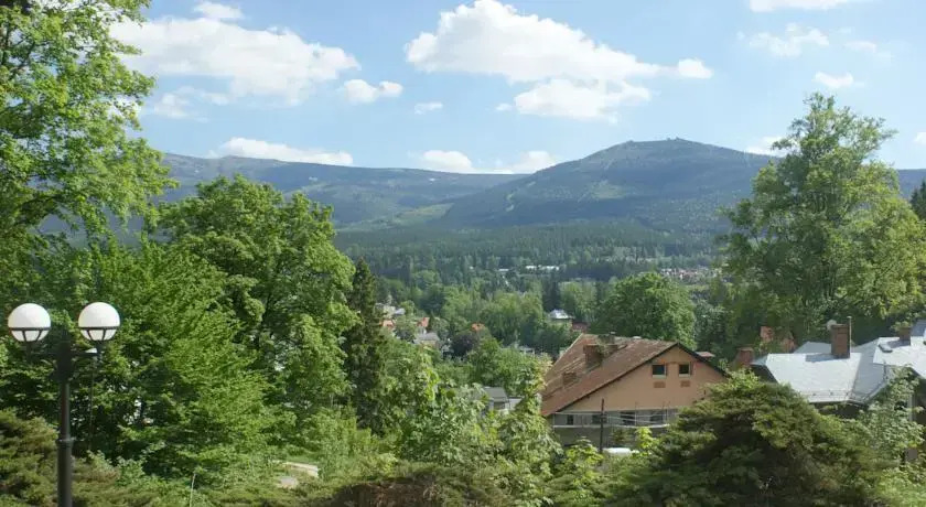 Hotel Bosman