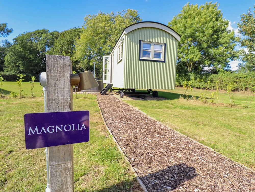 Magnolia