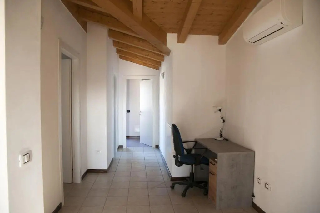 Gli astri di San Lorenzo