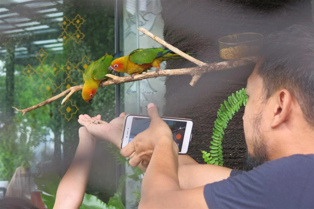 Aviary Bintaro