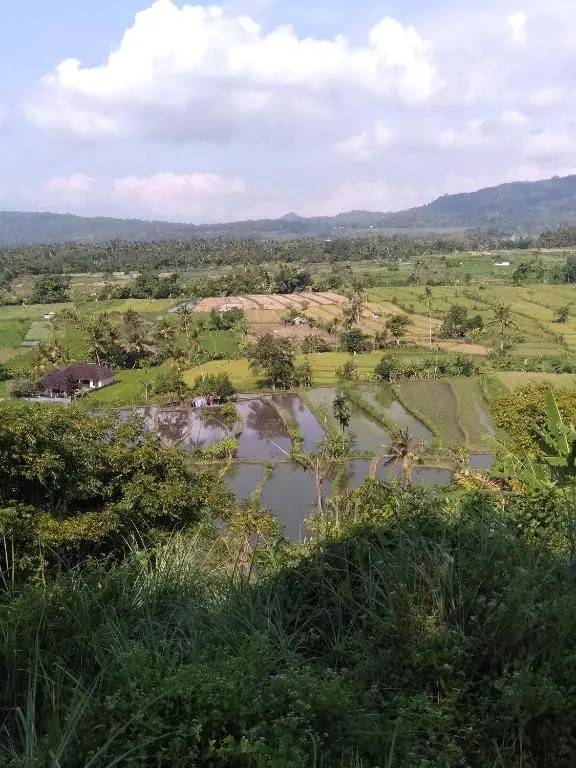 Pondok Alam Bukit