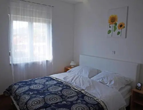 Apartments Nova