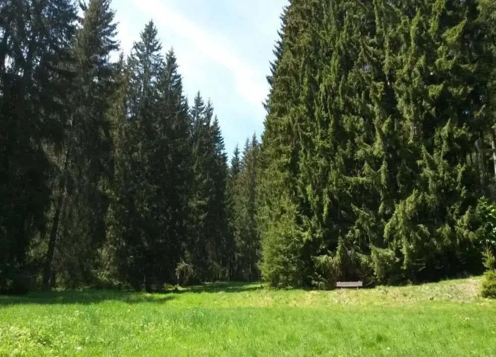 Cozy Holiday Home in Grossbreitenbach near Schwarza Valley