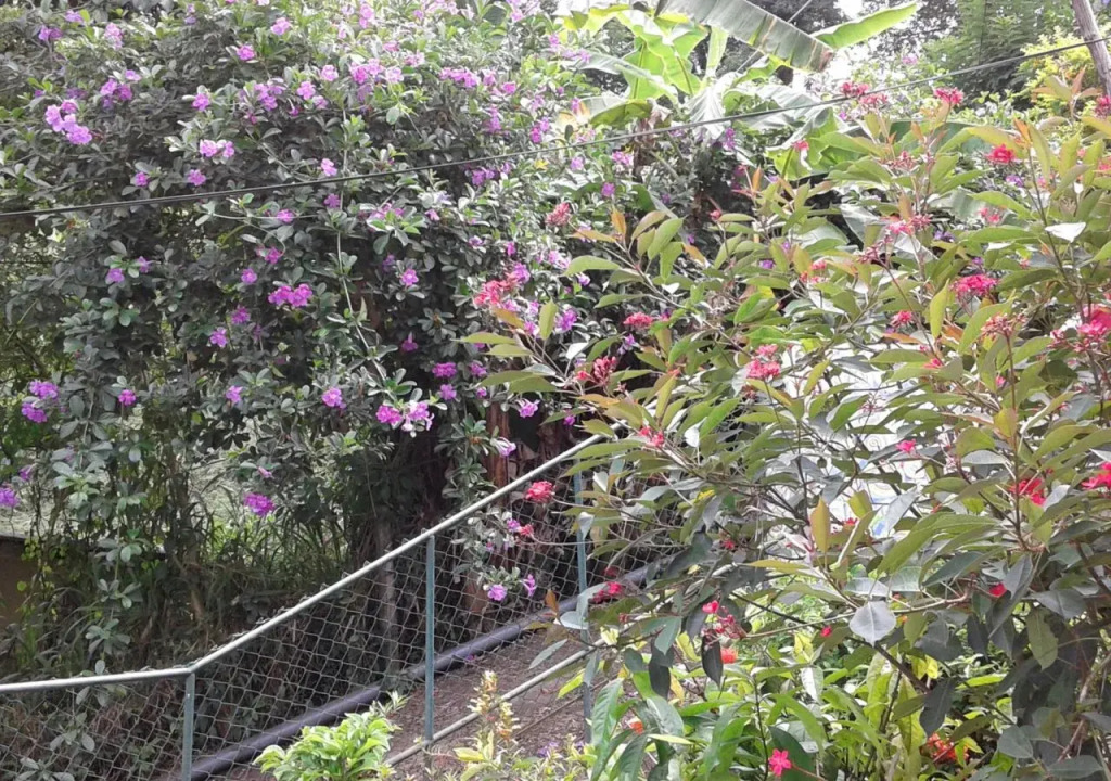 Kandy Hill Breeze ( Home Stay)