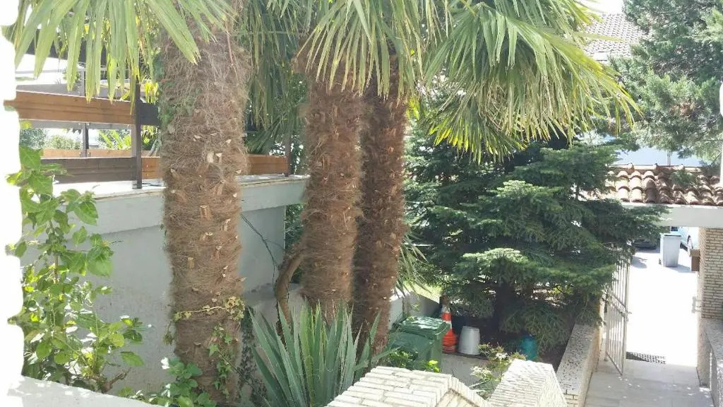 Apartments Villa Ana