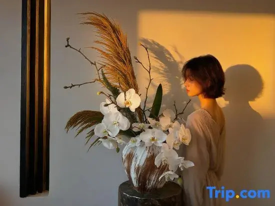 Hidden in Mountains • Lijiang Ancient Town 270° Panoramic View, Mountain-View Boutique Guesthouse