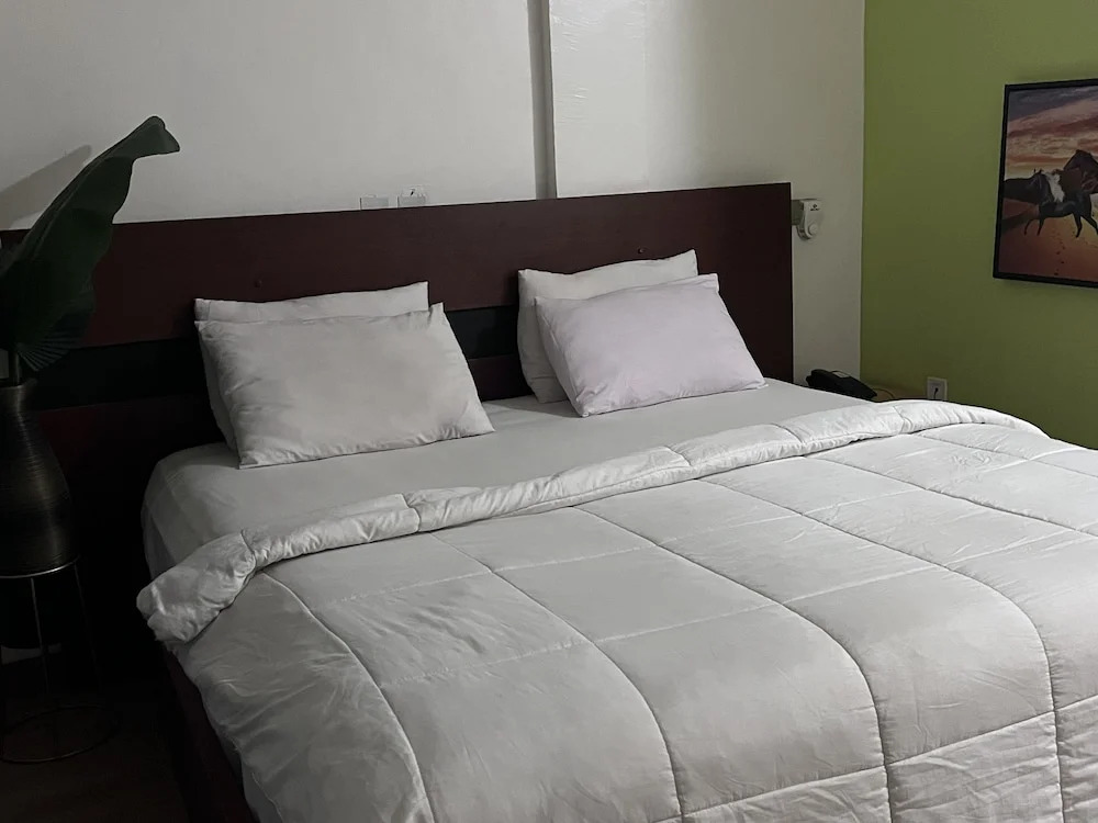Italian Boy Hotel