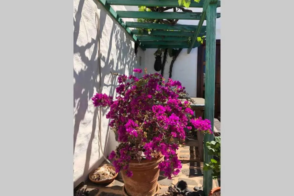 Casa Alegria II