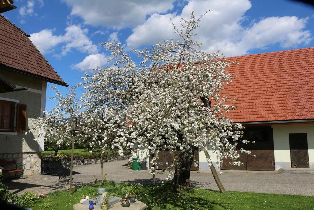 Gästehaus Reiterer