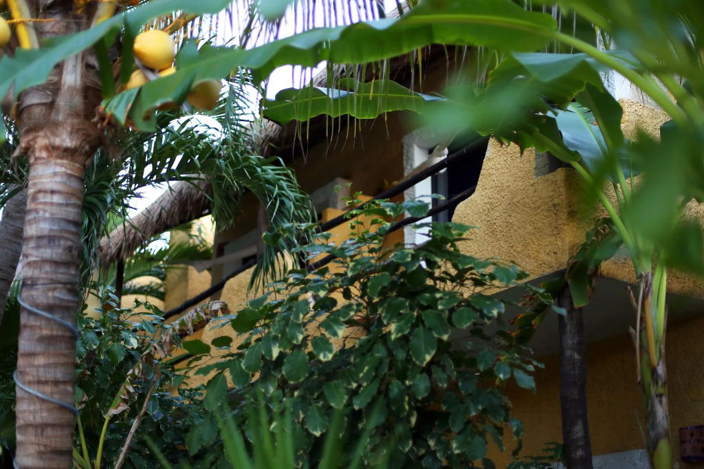 Hotel Casa Colibri