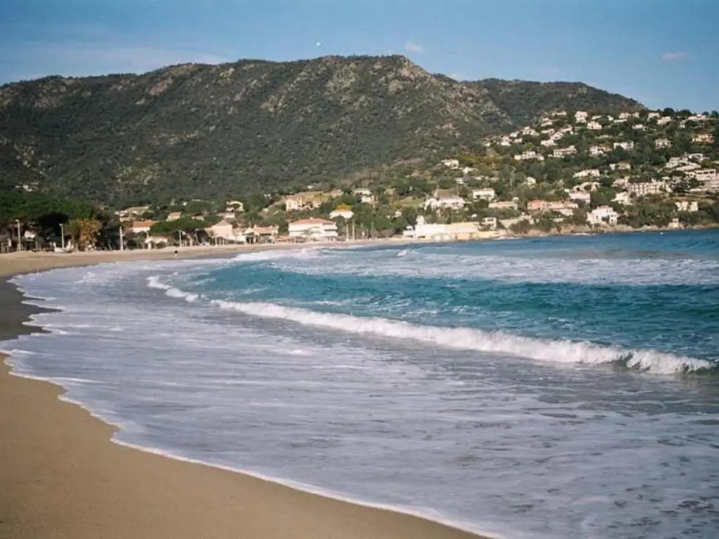 Appartement Le Lavandou, 2 pièces, 4 personnes - FR-1-251-305