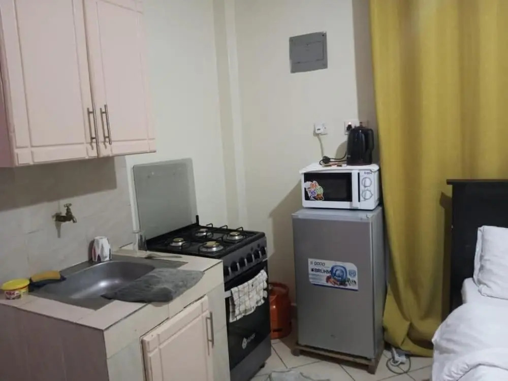 Attic Place Apartments south B