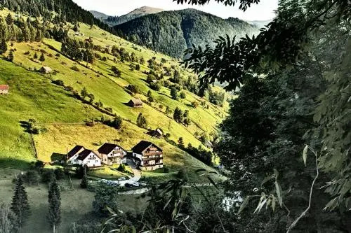 Carpatica Lodge