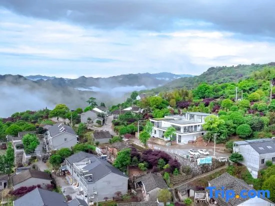 Ningbo No. 29 Guesthouse