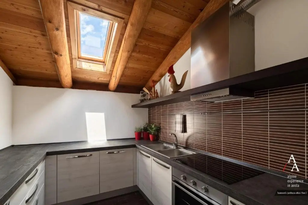 Alp Apartments - Tourneuve5
