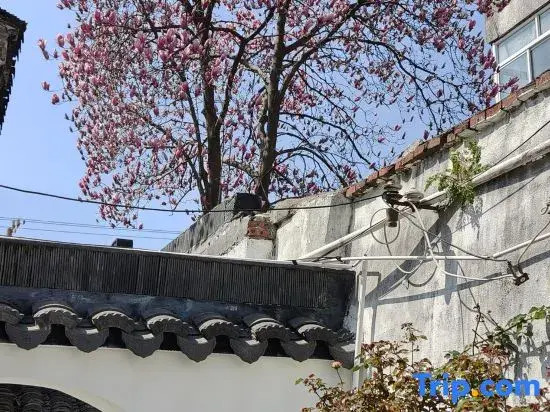Suzhou Riverside House