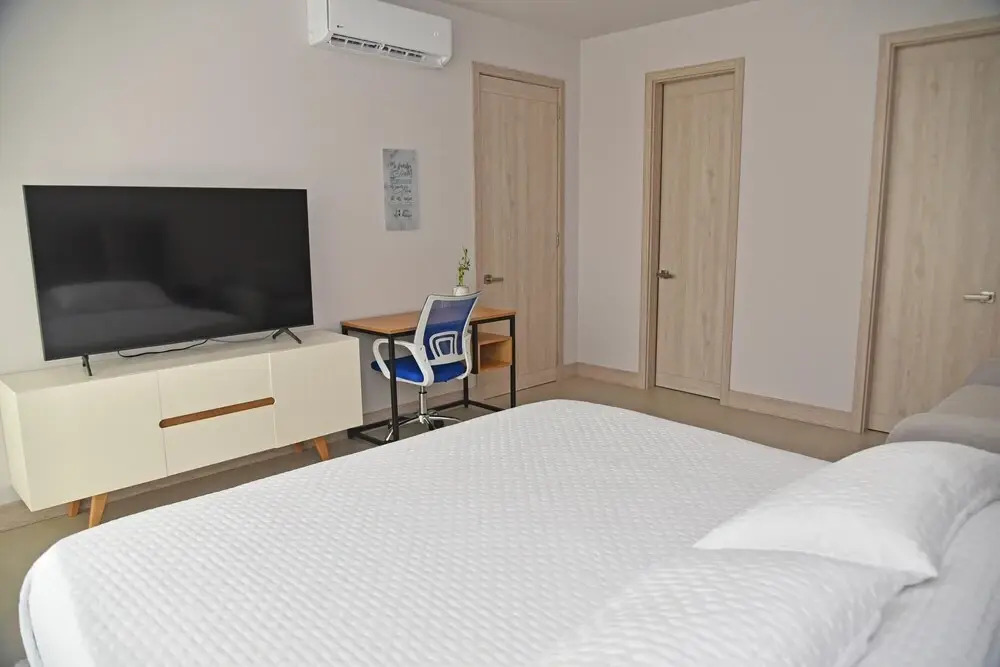 Spacious Apartment in a Modern Condominium w Lovely View