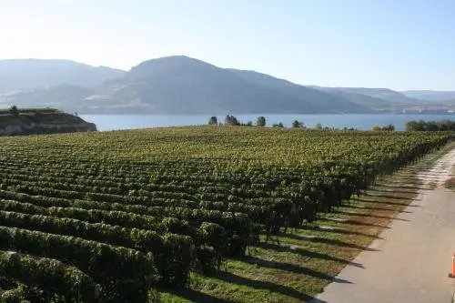 D'Angelo Winery Farm House