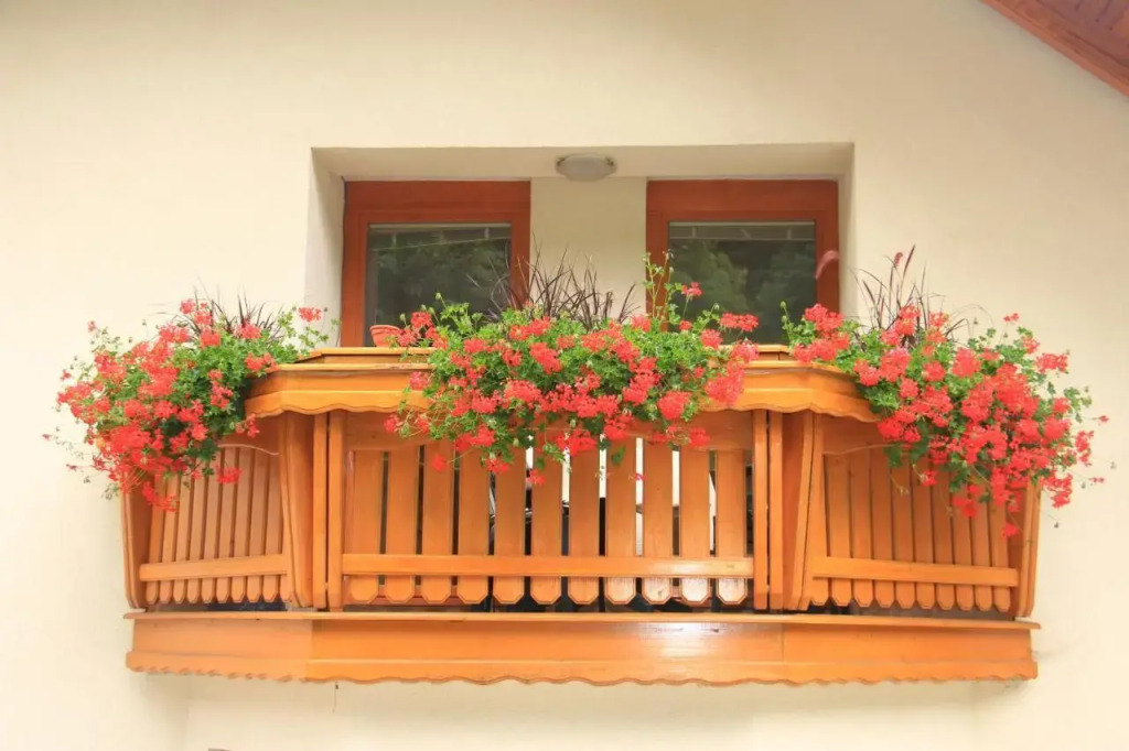 Apartment Natur