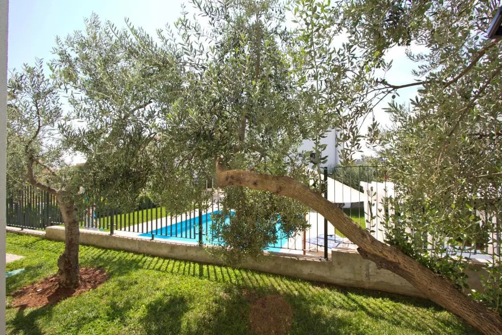 Divine Dalmatia Apartments