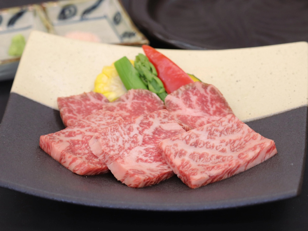 Shunjuan Yumeshi Idumiya