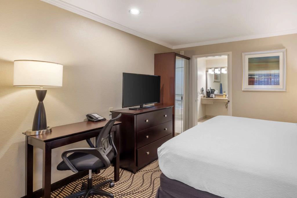 Best Western Plus Orchid Hotel & Suites