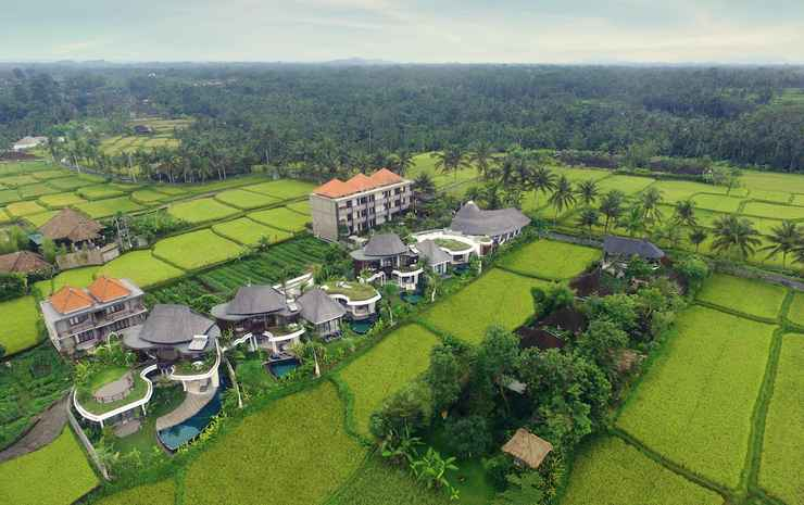 Mango Ubud
