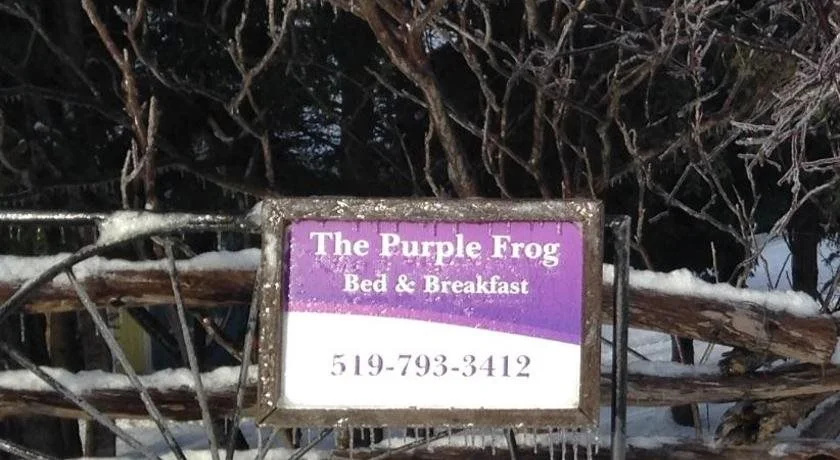 The Purple Frog Bed & Breakfast