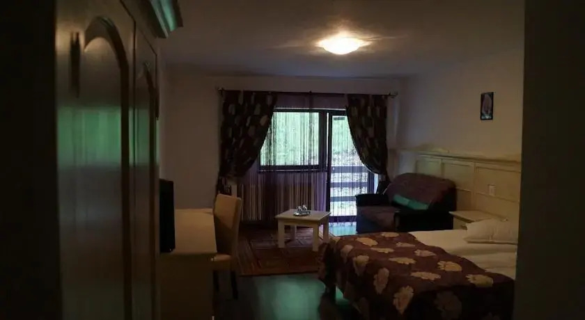 Hotel Craiasa 1