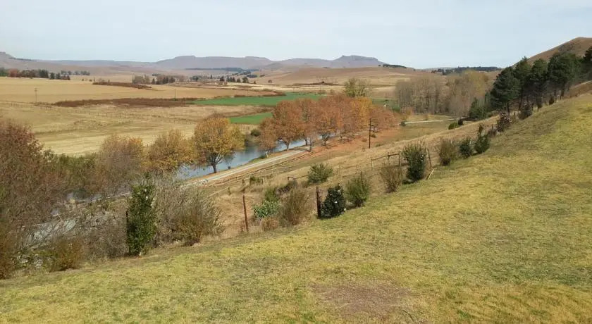 River Ridge