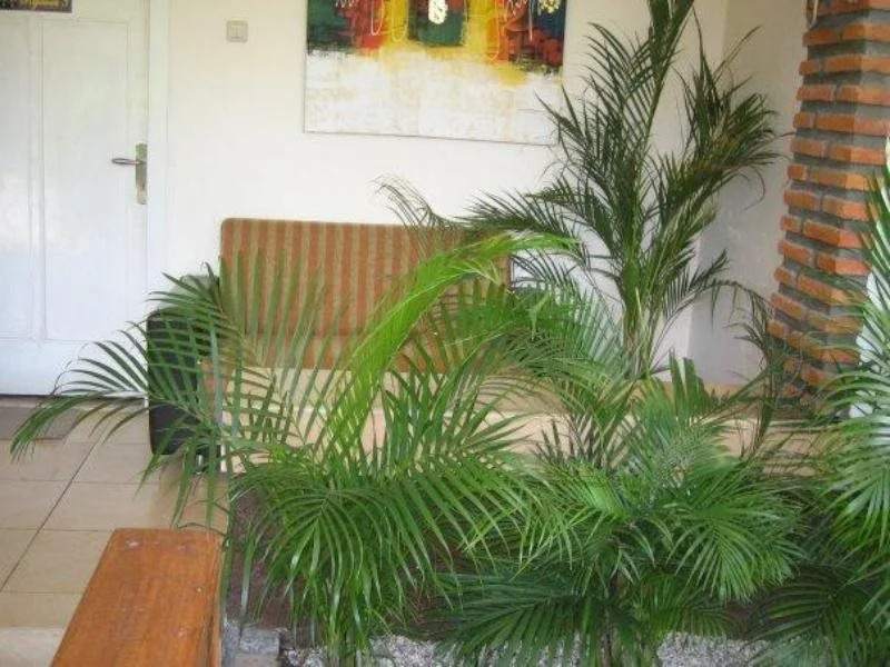 Monginsidi Guest House