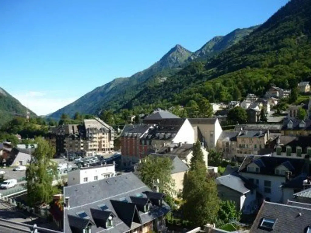 Appartement Cauterets, 1 pièce, 4 personnes - FR-1-401-45