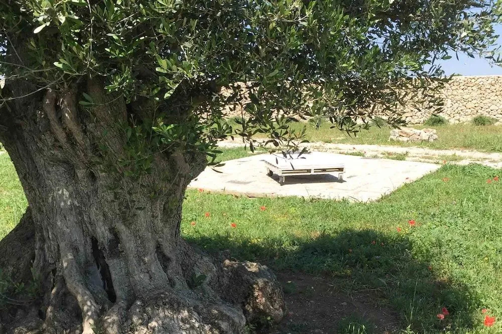 Masseria Gelsi