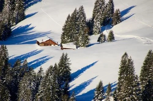 Gästehaus Alpenruh