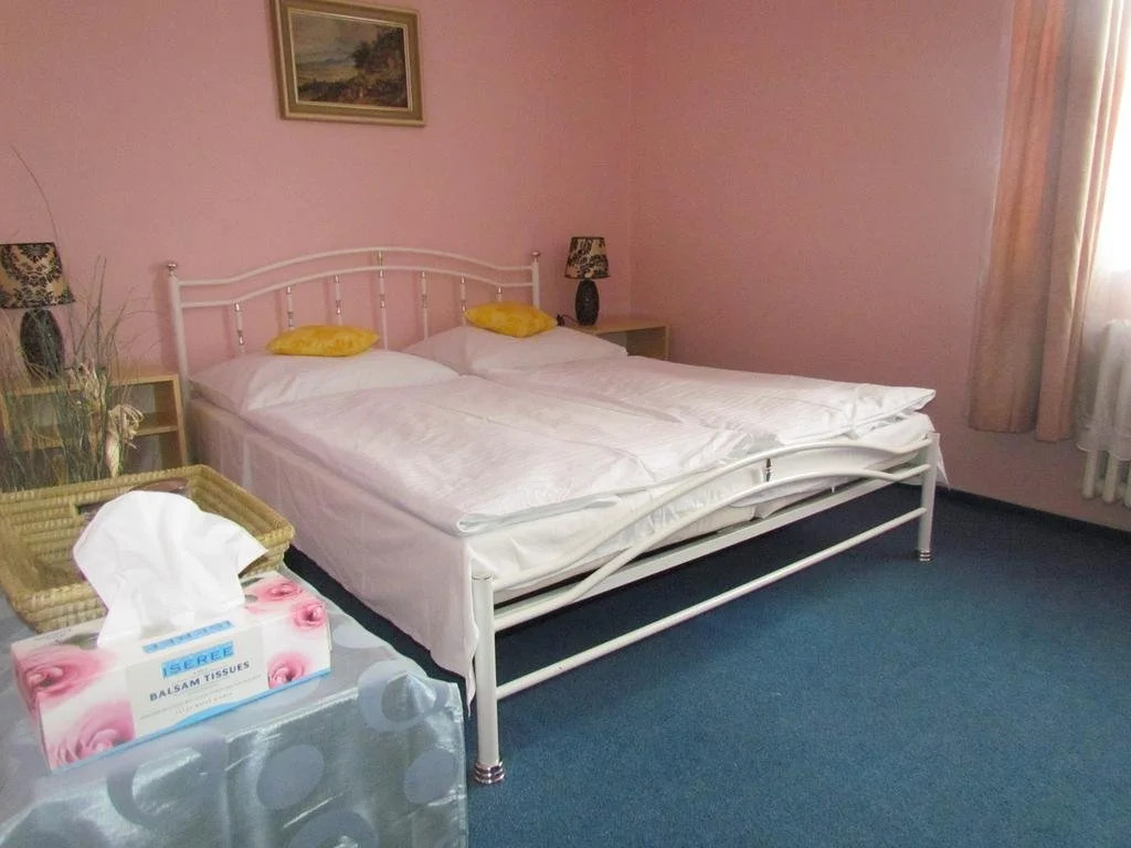 Hotel Venec