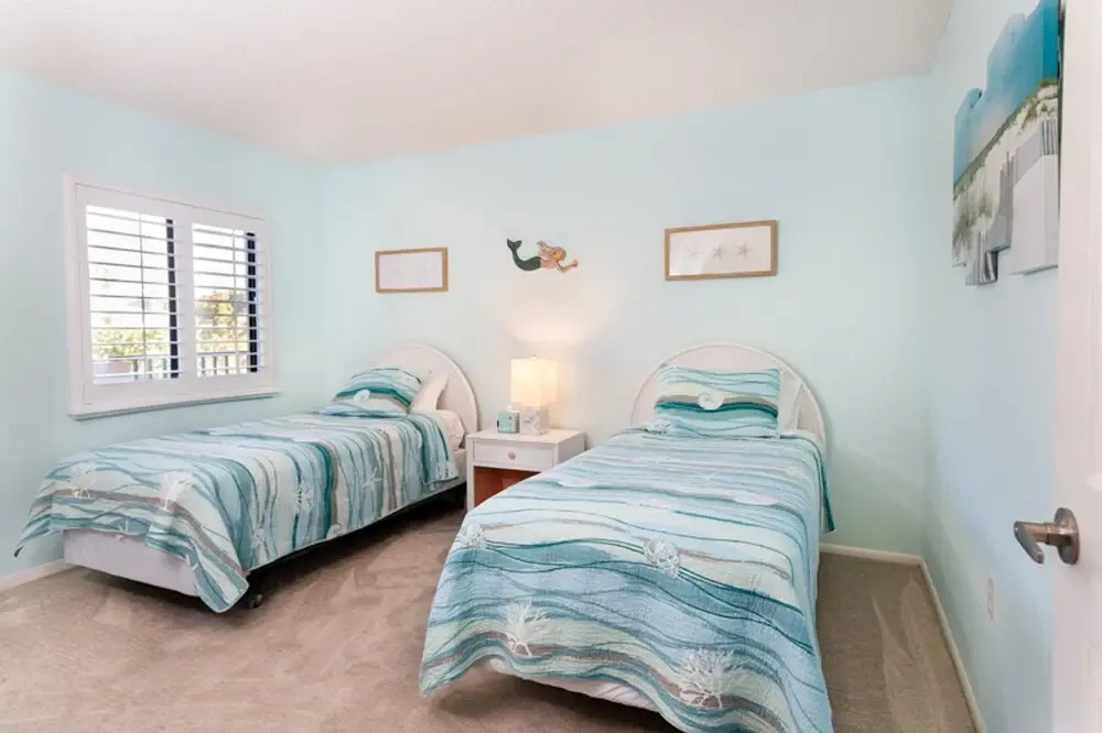 Loggerhead 443