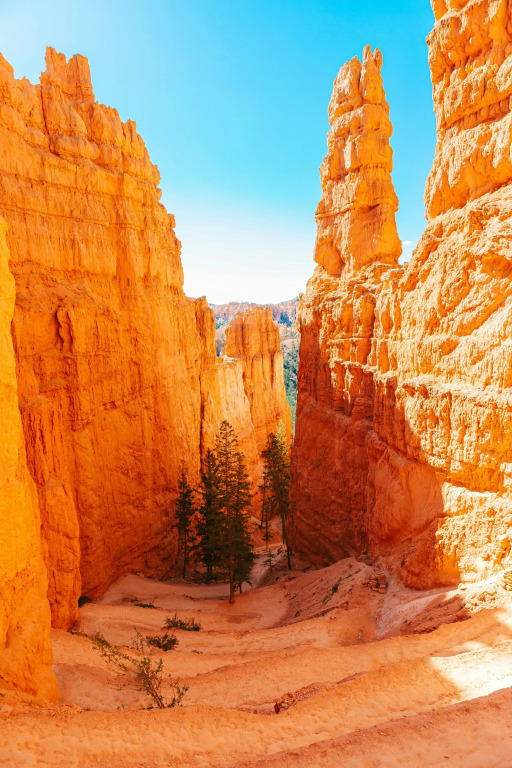 Under Canvas Bryce Canyon