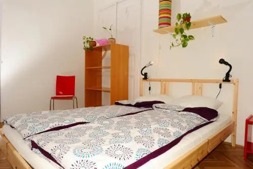 Zsofis House