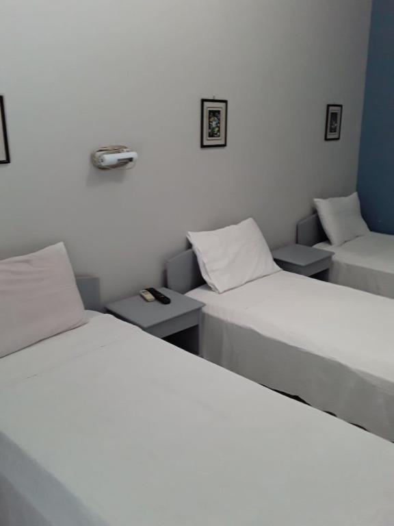 Hotel Theoxenia