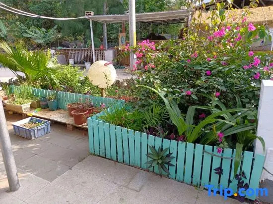 Weizhou Island Shibei Homestay (Shell Beach)